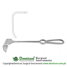 Israel Retractor 6 Blunt Prongs Stainless Steel, 25.5 cm - 10" Blade Size 50 x 60 mm